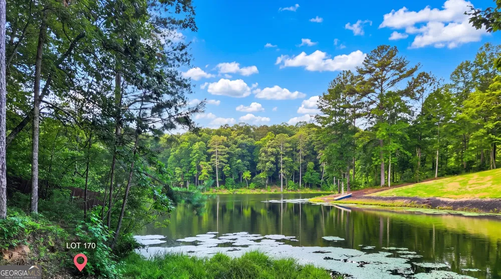 LT 170 Overlook WAY Ellijay, GA 30540