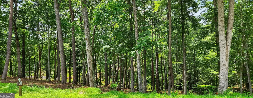 LT 170 Overlook WAY Ellijay, GA 30540