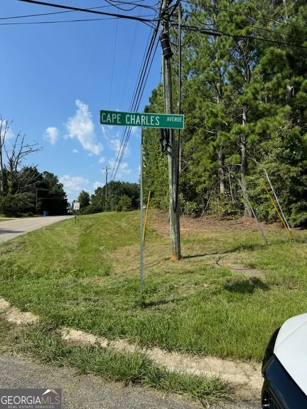 0 Cape Charles AVE Hampton, GA 30228