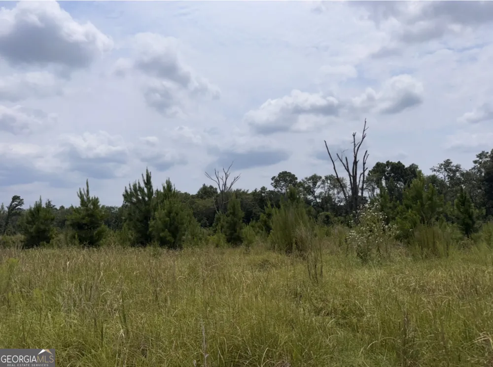 0 Rose Hollow RD Lyons, GA 30436