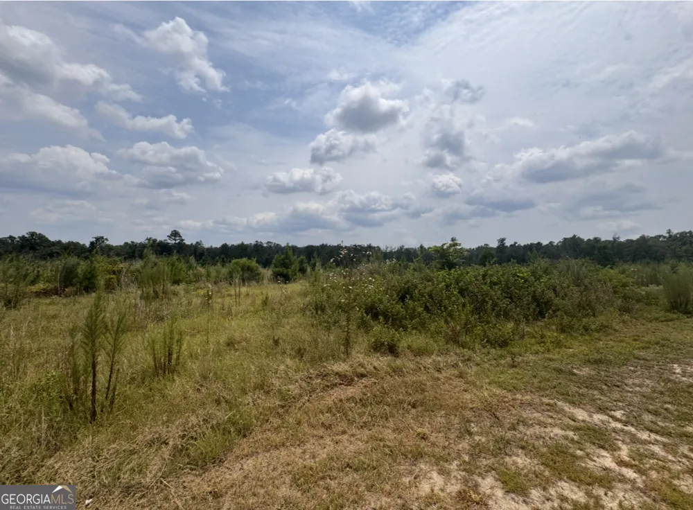0 Rose Hollow RD Lyons, GA 30436