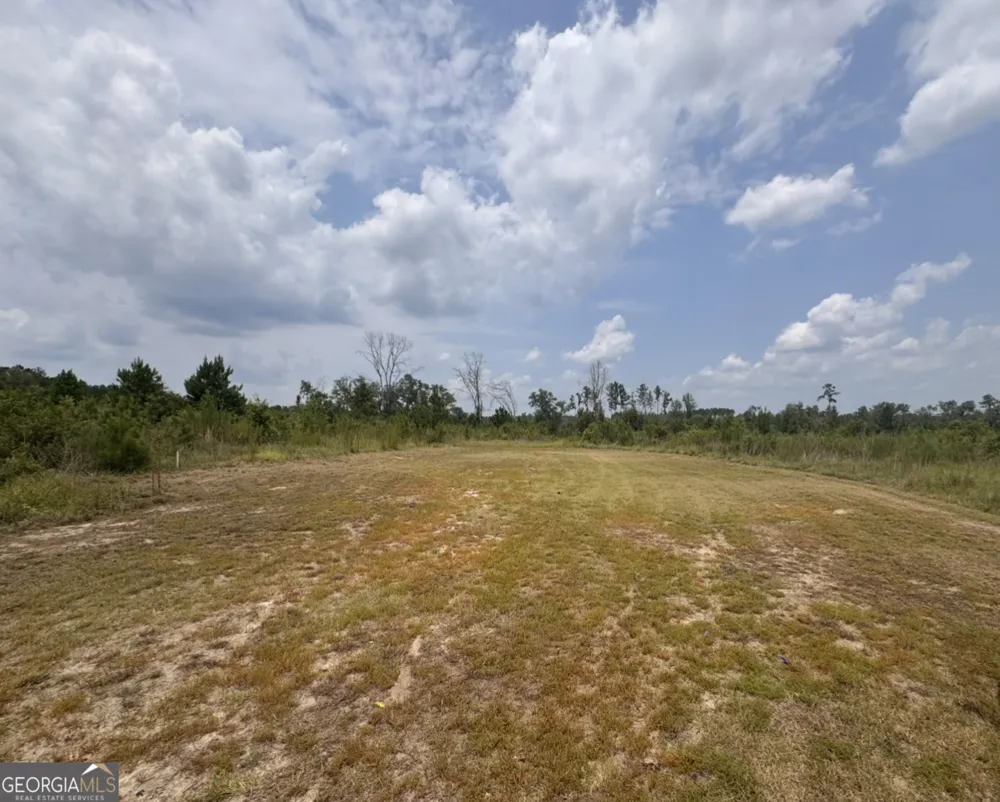 0 Rose Hollow RD Lyons, GA 30436
