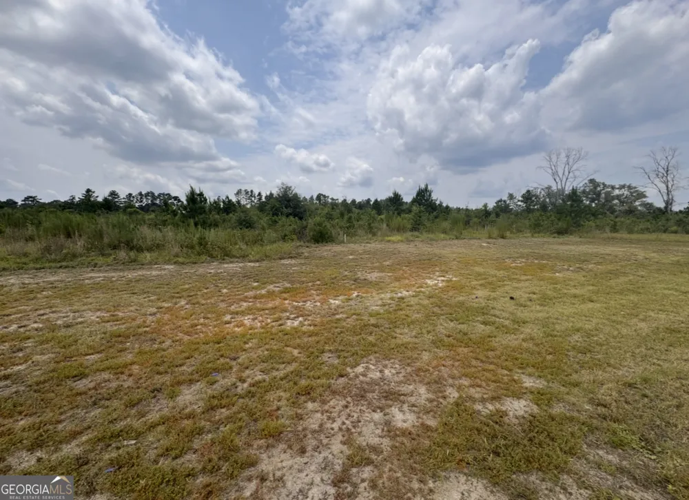 0 Rose Hollow RD Lyons, GA 30436