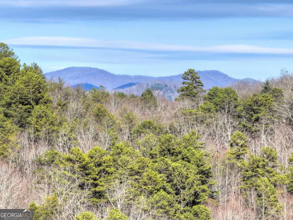 315 River Retreat RD Blue Ridge, GA 30513