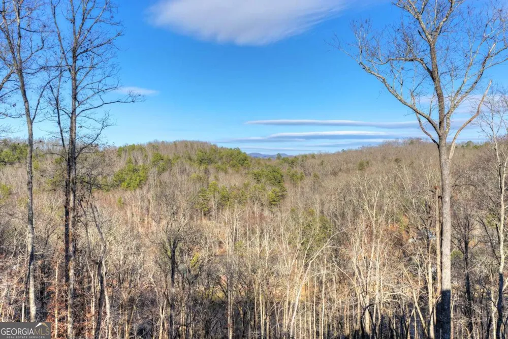 315 River Retreat RD Blue Ridge, GA 30513