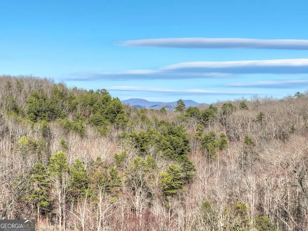 315 River Retreat RD Blue Ridge, GA 30513