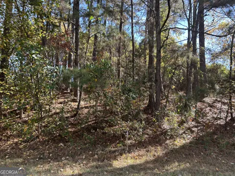 2090 Lee Peters RD