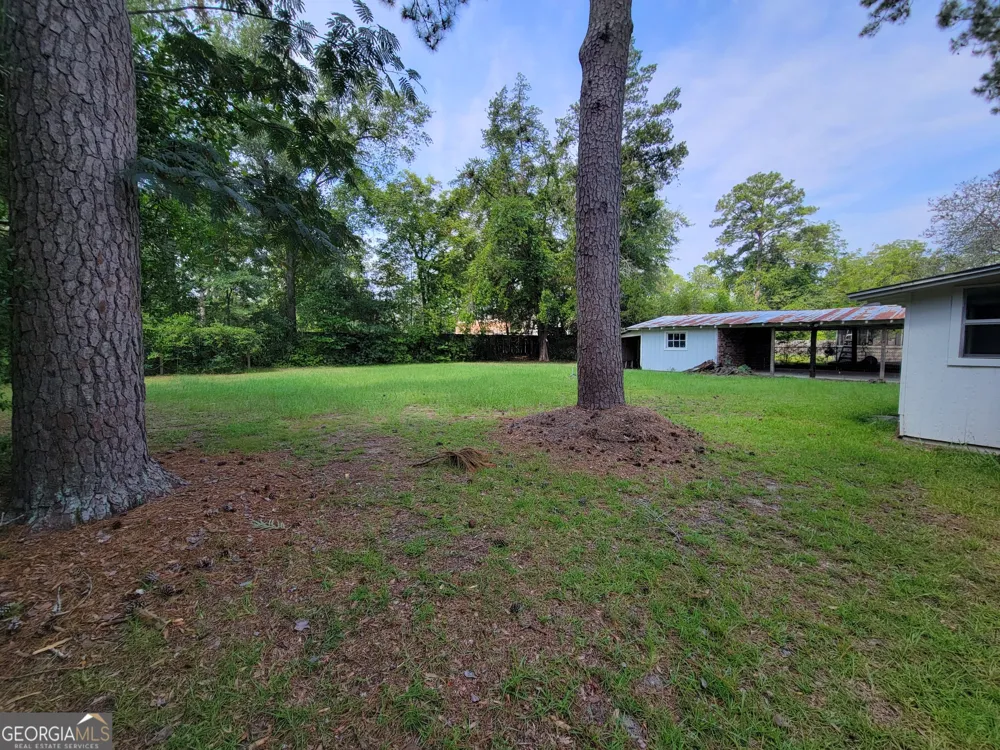 112 Jessie AVE Reidsville, GA 30453