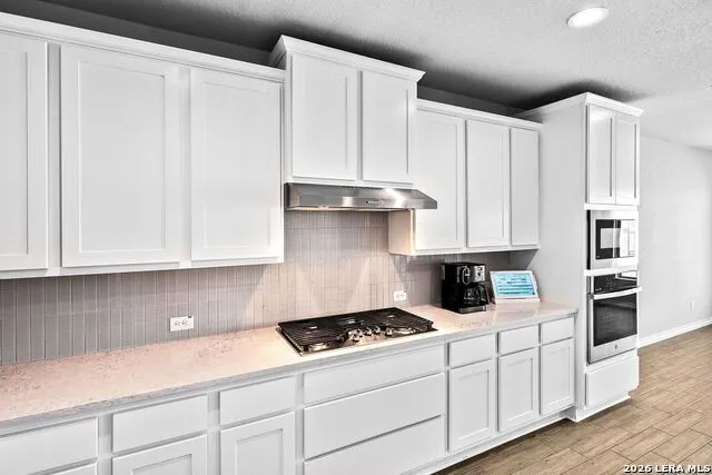 25023 Las Pilas San Antonio, TX 78261