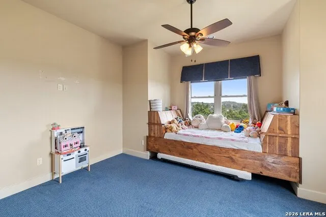 241 E LYNX CV Blanco, TX 78606