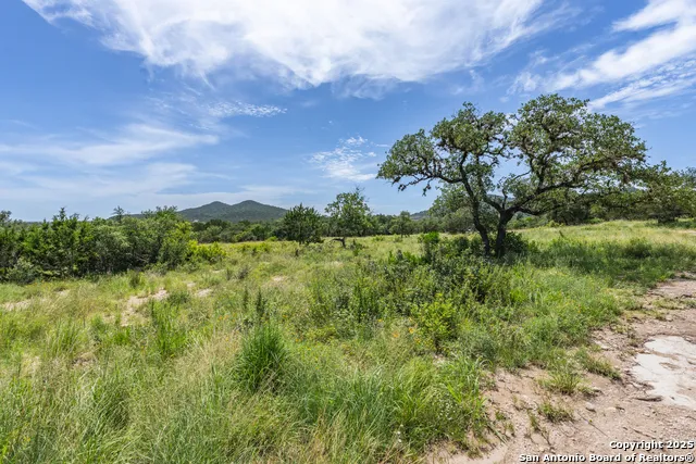 816 Cornelius Road Utopia, TX 78884