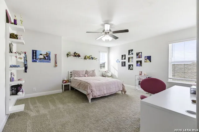 628 Able Bluff Cibolo, TX 78108