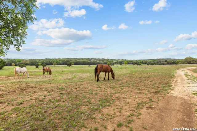 1280 stoney ridge Bulverde, TX 78163