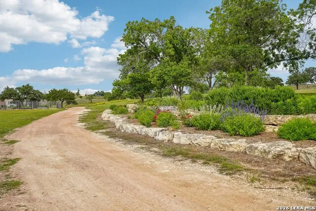 162 Flowering Sage Lane Fredericksburg, TX 78624