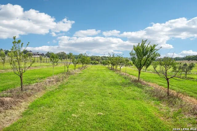 162 Flowering Sage Lane Fredericksburg, TX 78624