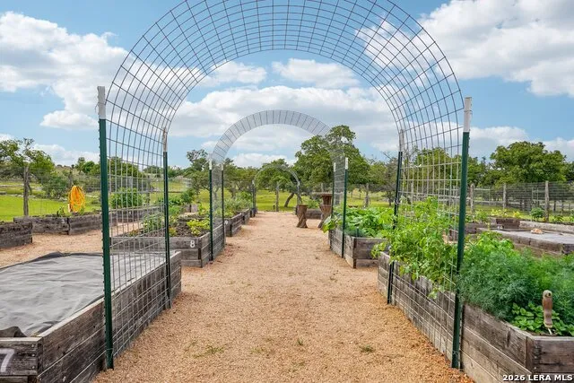 162 Flowering Sage Lane Fredericksburg, TX 78624