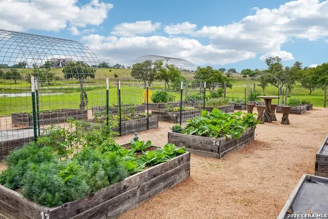 162 Flowering Sage Lane Fredericksburg, TX 78624