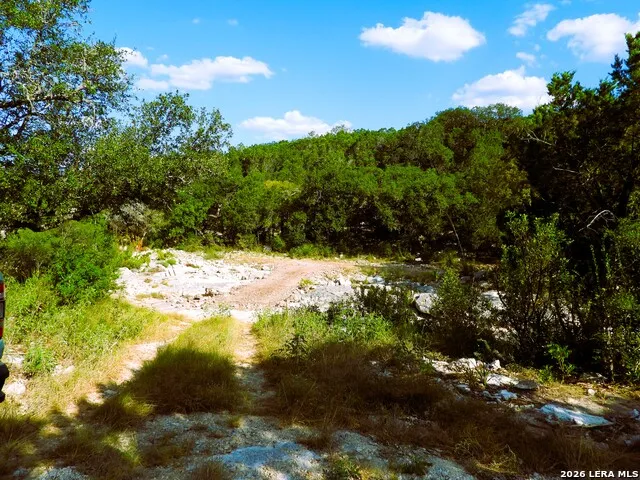 LOT 51 Pr 2537 Mico, TX 78056