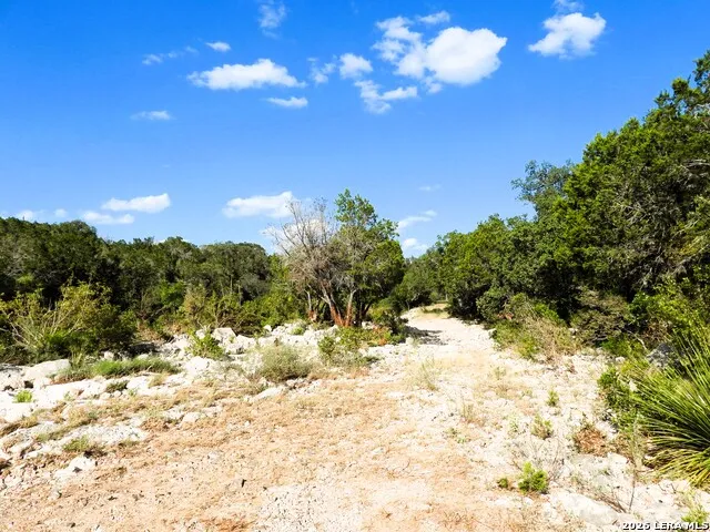 LOT 51 Pr 2537 Mico, TX 78056