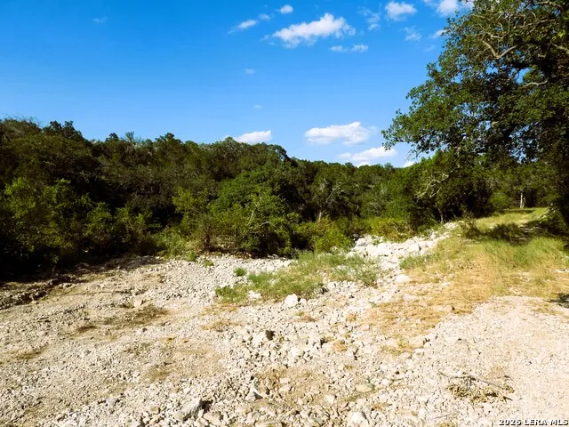 LOT 51 Pr 2537 Mico, TX 78056
