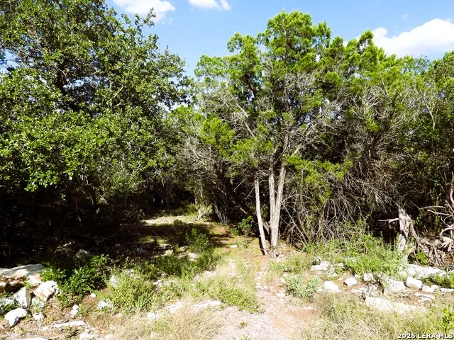 LOT 51 Pr 2537 Mico, TX 78056