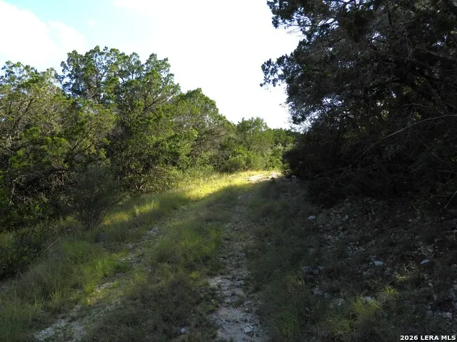 LOT 51 Pr 2537 Mico, TX 78056