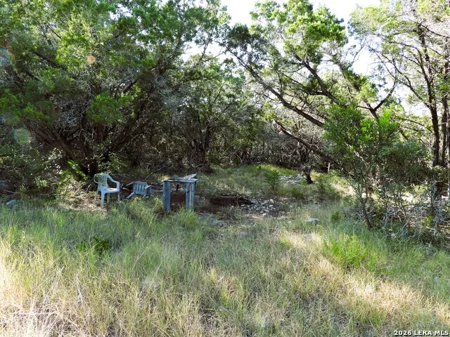 LOT 51 Pr 2537 Mico, TX 78056