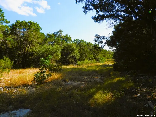 LOT 51 Pr 2537 Mico, TX 78056