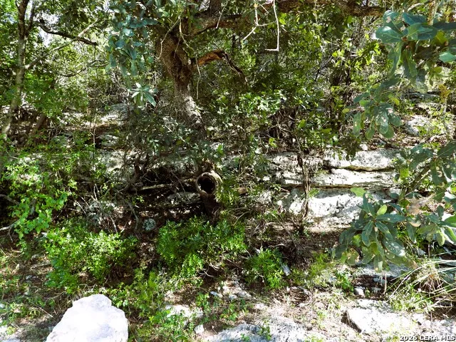 LOT 51 Pr 2537 Mico, TX 78056