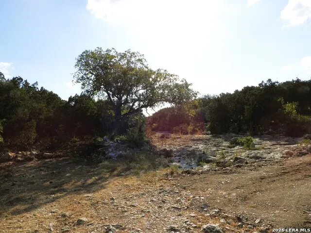 LOT 51 Pr 2537 Mico, TX 78056