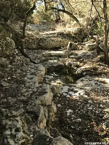 LOT 51 Pr 2537 Mico, TX 78056