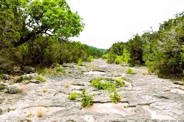 LOT 51 Pr 2537 Mico, TX 78056