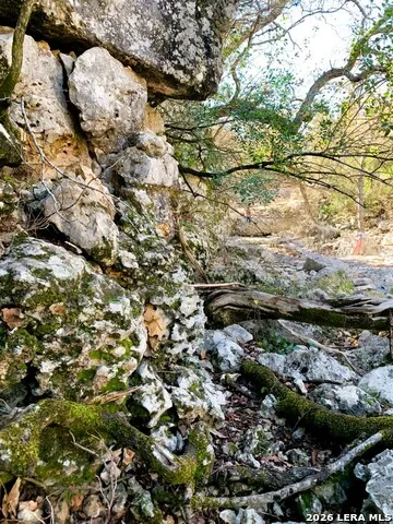 LOT 51 Pr 2537 Mico, TX 78056