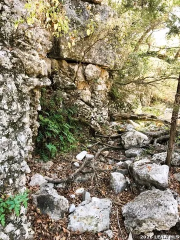 LOT 51 Pr 2537 Mico, TX 78056