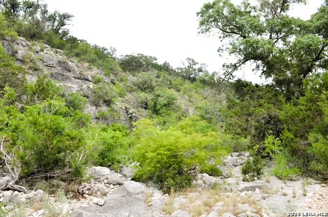 LOT 51 Pr 2537 Mico, TX 78056