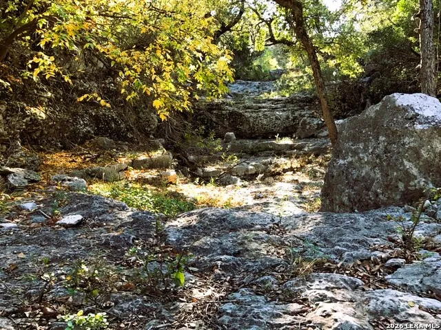 LOT 51 Pr 2537 Mico, TX 78056