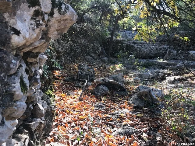LOT 51 Pr 2537 Mico, TX 78056