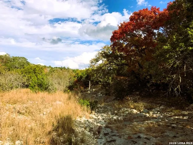 LOT 51 Pr 2537 Mico, TX 78056