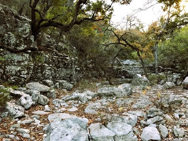 LOT 51 Pr 2537 Mico, TX 78056