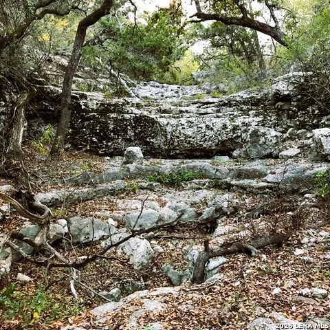 LOT 51 Pr 2537 Mico, TX 78056