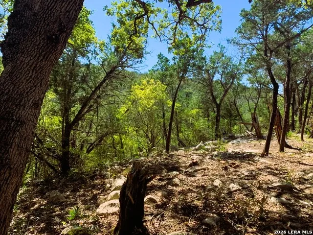 LOT 51 Pr 2537 Mico, TX 78056