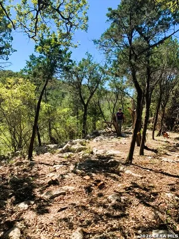 LOT 51 Pr 2537 Mico, TX 78056