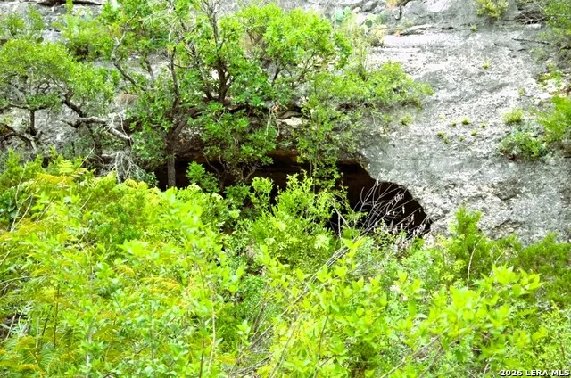 LOT 51 Pr 2537 Mico, TX 78056