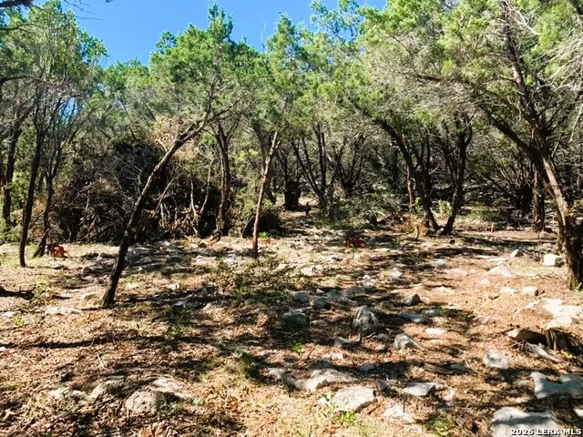 LOT 51 Pr 2537 Mico, TX 78056