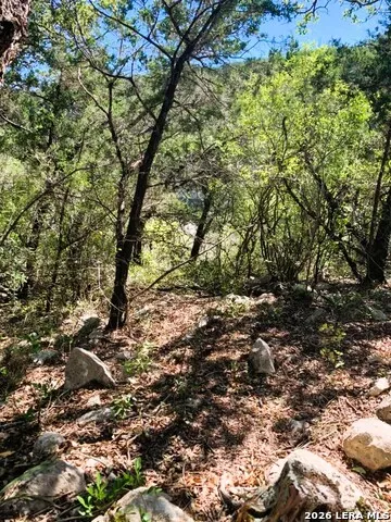 LOT 51 Pr 2537 Mico, TX 78056