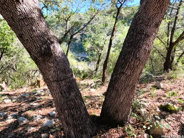 LOT 51 Pr 2537 Mico, TX 78056
