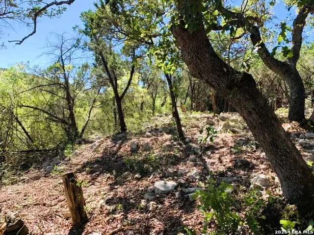 LOT 51 Pr 2537 Mico, TX 78056
