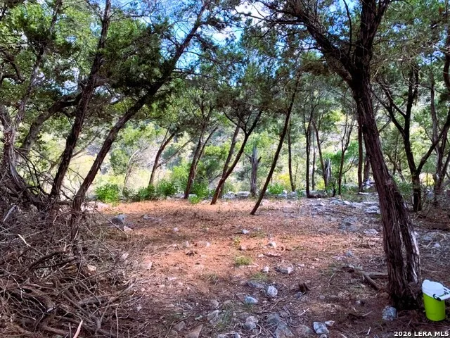 LOT 51 Pr 2537 Mico, TX 78056