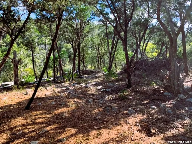 LOT 51 Pr 2537 Mico, TX 78056