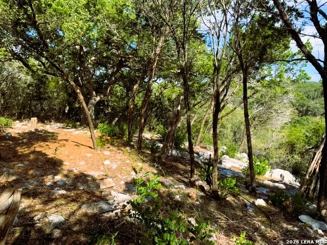 LOT 51 Pr 2537 Mico, TX 78056